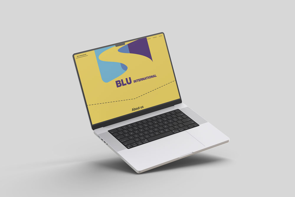 Blu international company Web Design