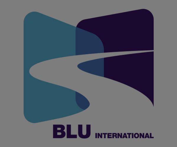 Blu international company Web Design